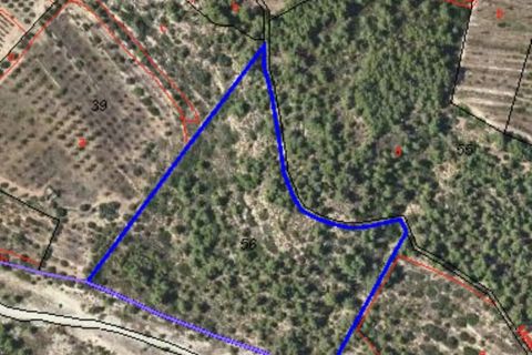 Terra a Garcia, Tarragona, Garcia - € 5.000 | Ref: Gar4011mon - foto 7